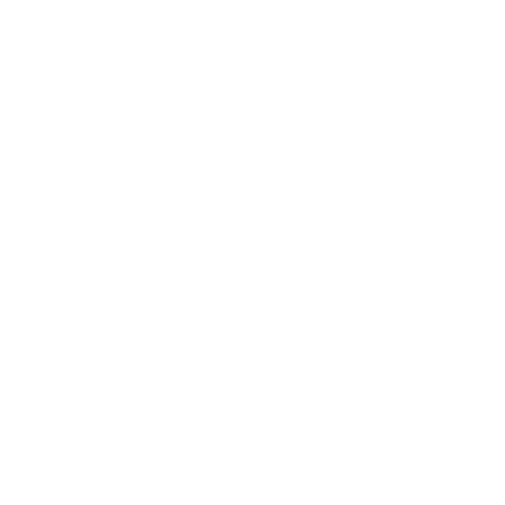 לוגו מיינדסט שלומי חסטר